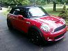 Brand New to the Mini Family-pic_0035.jpg